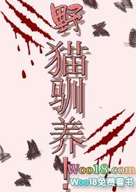野猫 驯化